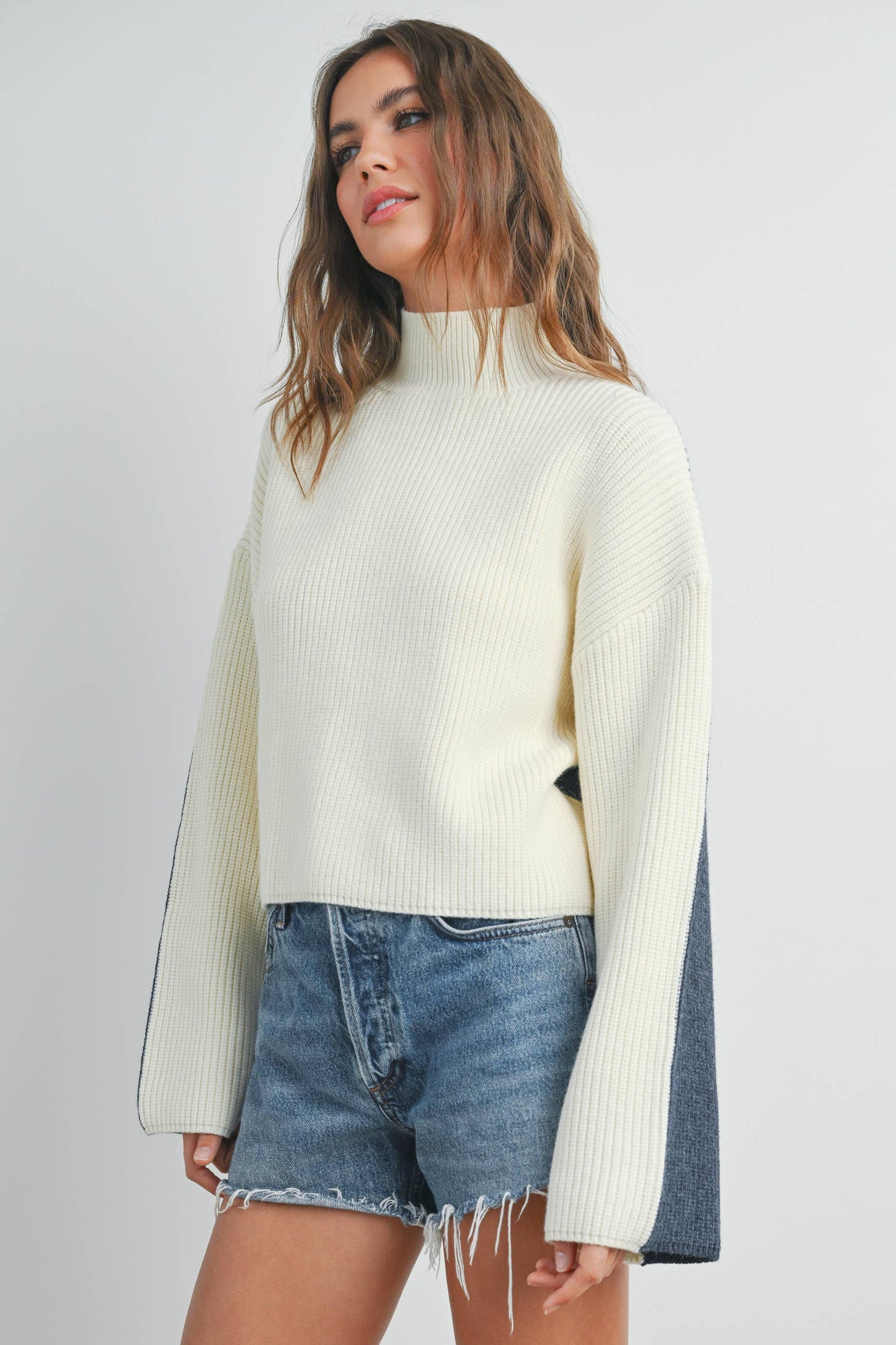 Two Toned Turtleneck Sweater