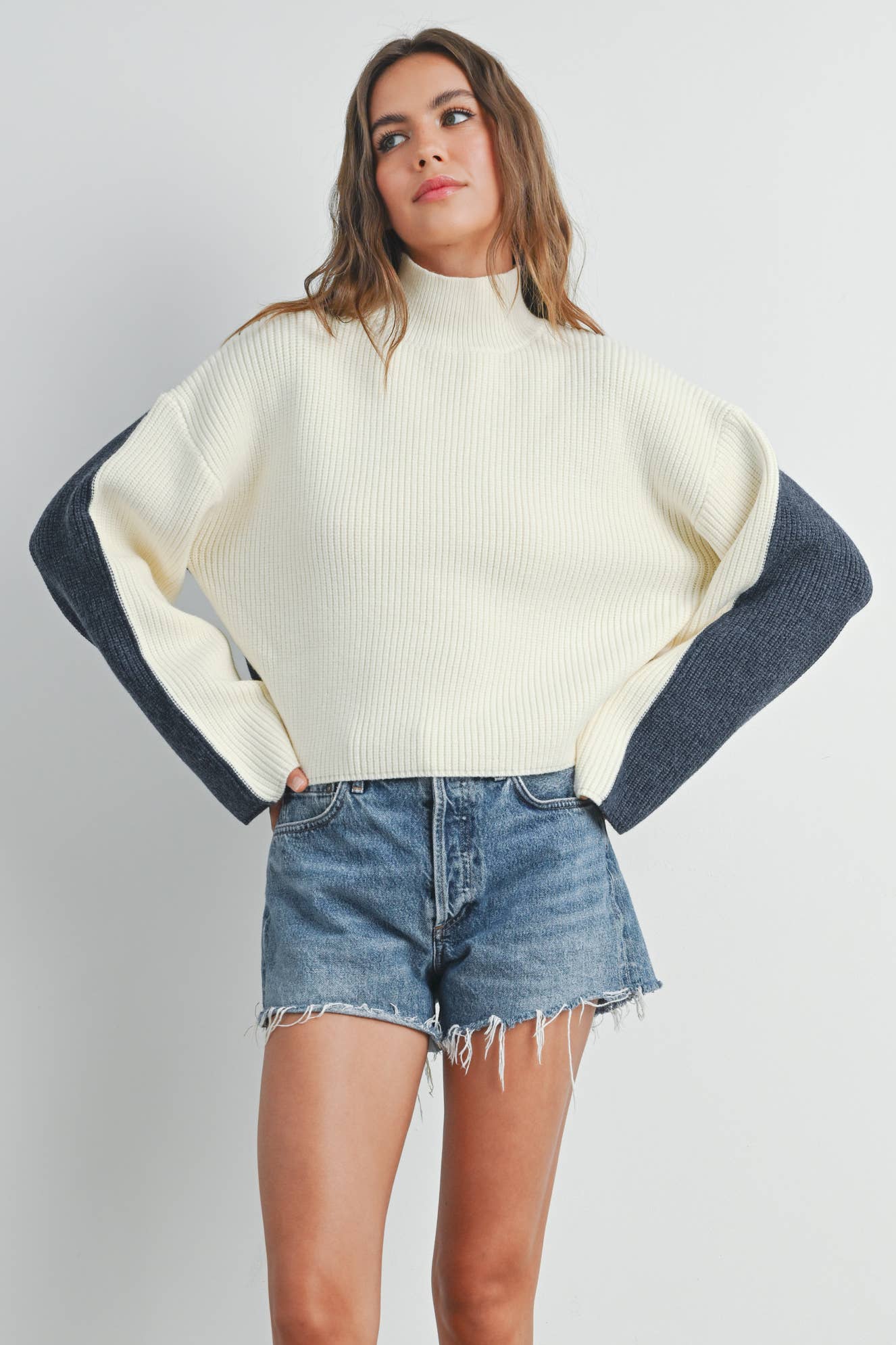 Two Toned Turtleneck Sweater