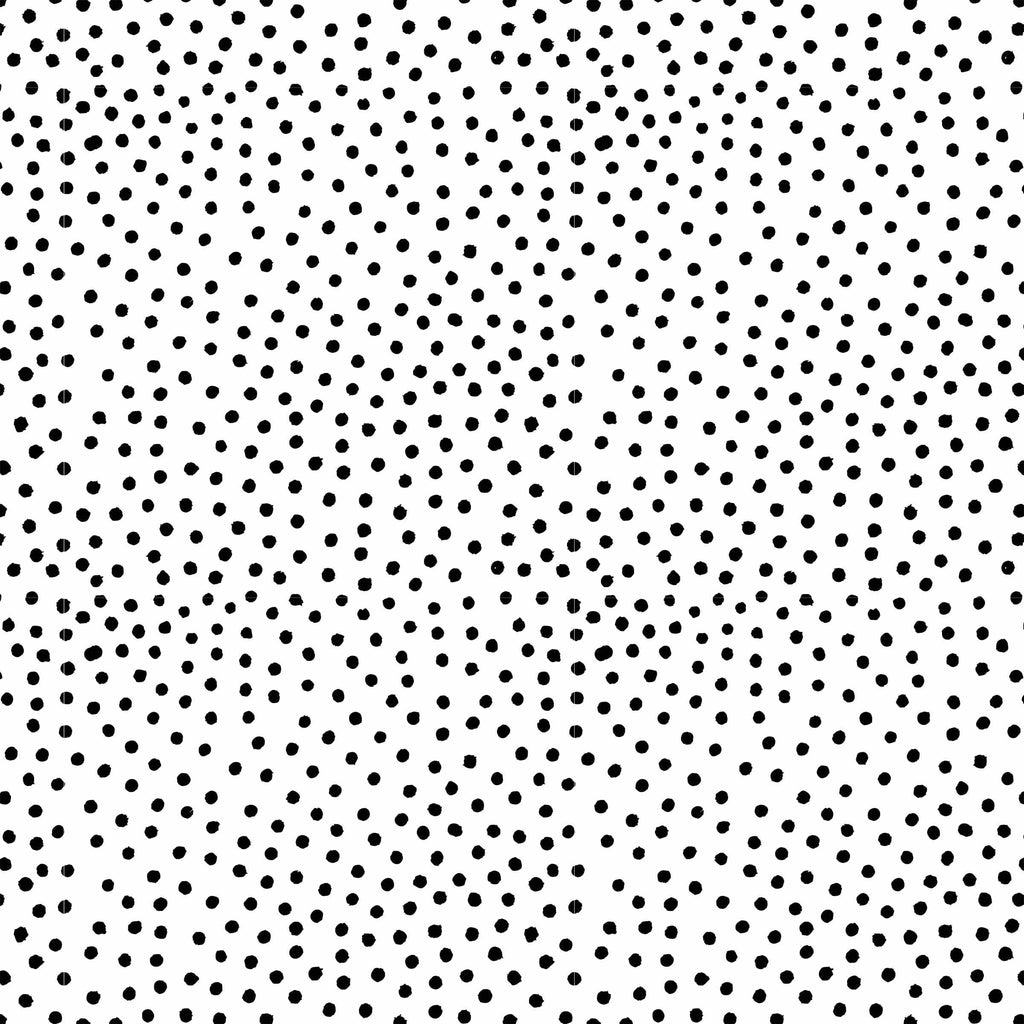 Beau Bottles Black and White Dots – Champagne Collection