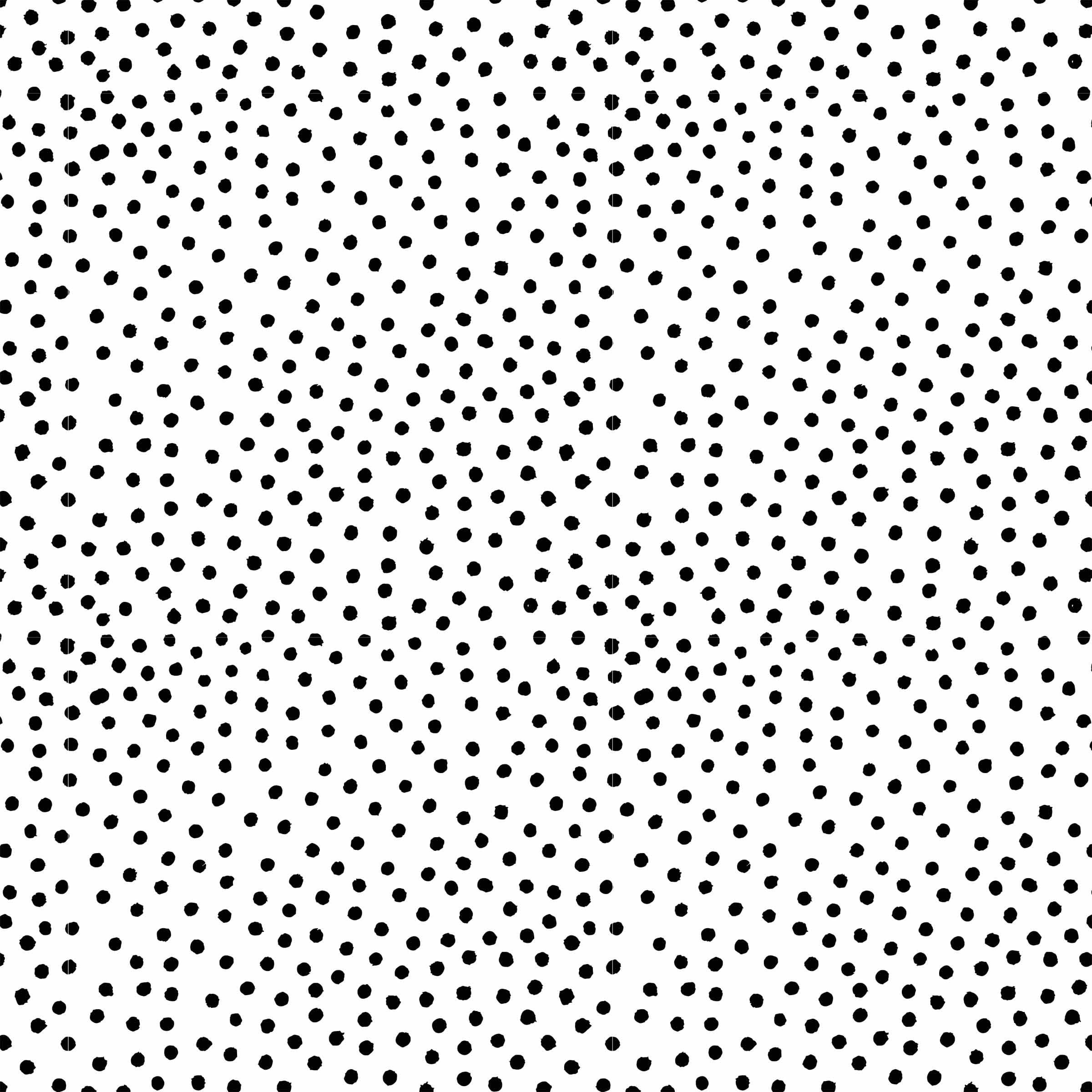 Beau Bottles Black and White Dots – Champagne Collection